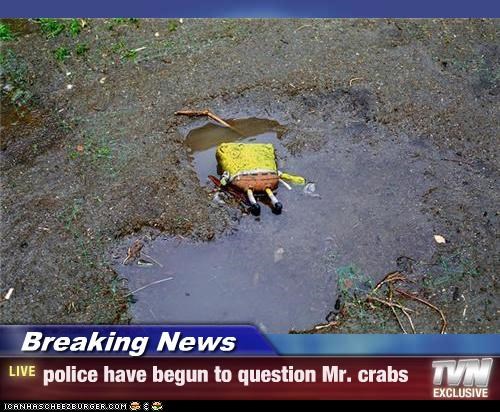 Breaking News - police have begun to question Mr. crabs