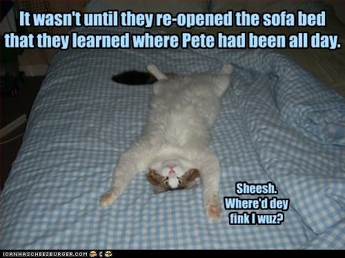 It wasn't until they re-opened the sofa bed...