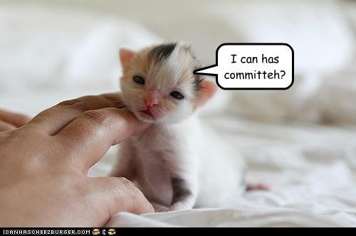 I can has committeh?