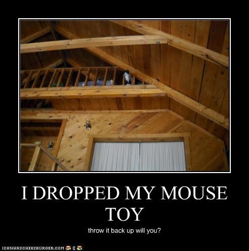I DROPPED MY MOUSE TOY