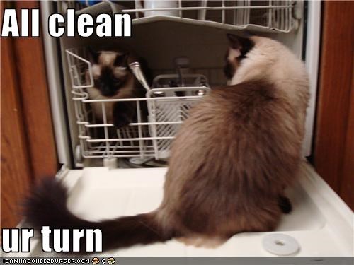 All clean  ur turn