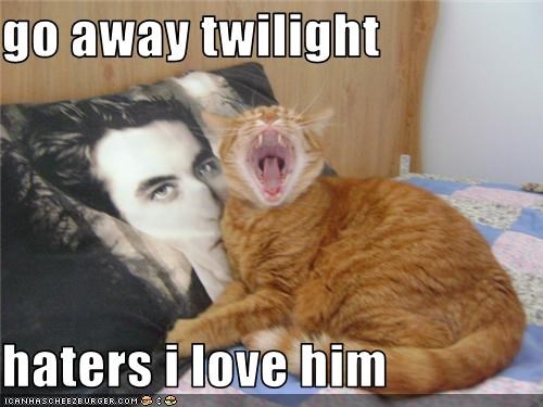 go away twilight  haters i love him