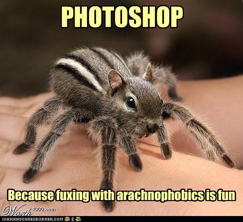 PHOTOSHOP