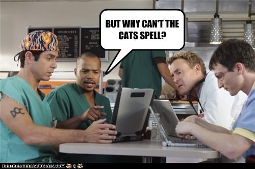 BUT WHY CAN'T THE CATS SPELL?