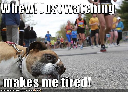 Whew! Just watching    makes me tired!