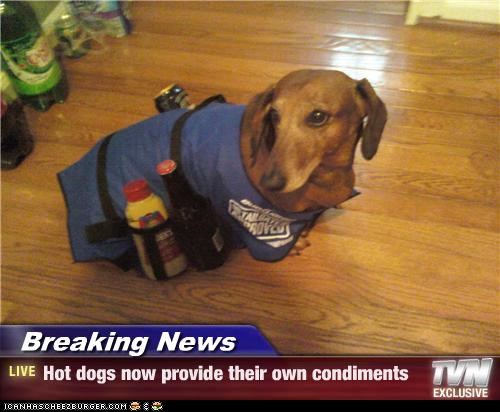 Breaking News - Hot dogs now provide their own condiments