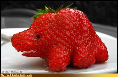 DinoStrawberrySaurus