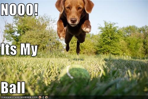 NOOO! Its My  Ball