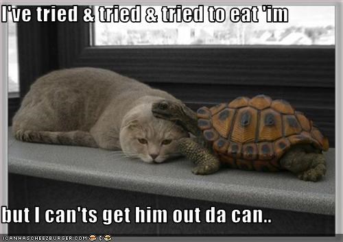 I've tried & tried & tried to eat 'im  but I can'ts get him out da can..