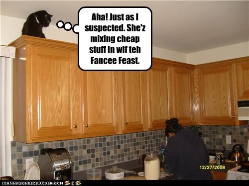 Aha! Just as I suspected. She'z mixing cheap stuff in wif teh Fancee Feast.