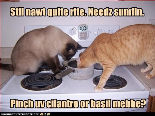 Stil nawt quite rite.