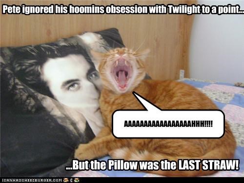 Pete ignored his hoomins obsession with Twilight to a point...
