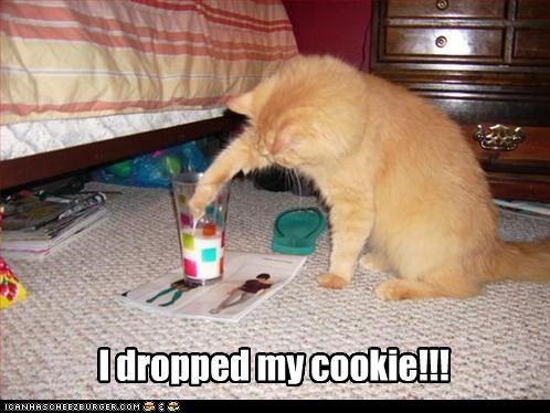 I dropped my cookie!!!