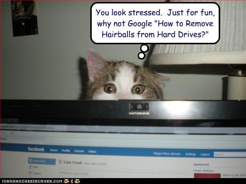 You look stressed.  Just for fun, why not Google "How to Remove Hairballs from Hard Drives?"