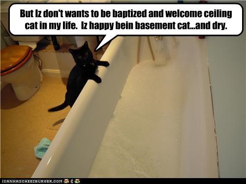 But Iz don't wants to be baptized and welcome ceiling cat in my life.  Iz happy bein basement cat...and dry.