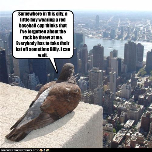 Somewhere in this city, a little boy wearing a red baseball cap thinks that I've forgotten about the rock he threw at me.  Everybody has to take their hat off sometime Billy. I can wait.