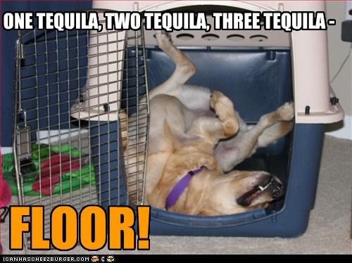 ONE TEQUILA, TWO TEQUILA, THREE TEQUILA -