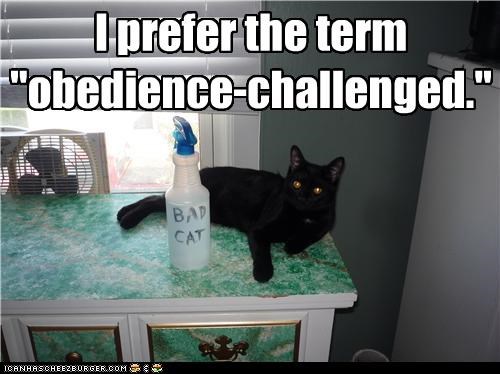 I prefer the term "obedience-challenged."