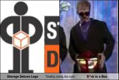 Storage Deluxe Logo Totally Looks Like D*ck in a Box