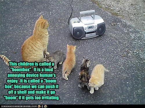 This children is called a "boombox".  It is a loud annoying device human's enjoy.  It is called a "boom box" because we can push it off a shelf and make it go "boom" if it gets too irritating.