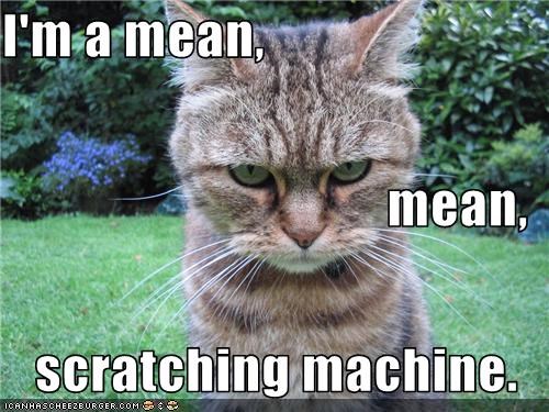 I'm a mean, mean, scratching machine.