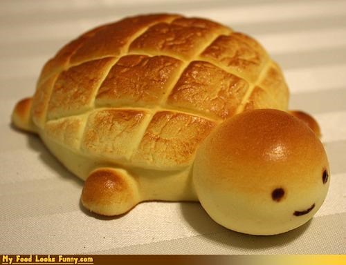 Wee Sweet Turtle Bun Brings a Little Squee to the Table