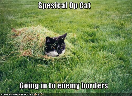 Spesical Op Cat  Going in to enemy borders