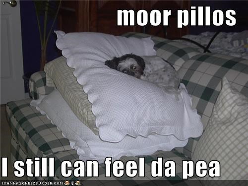 moor pillos  I still can feel da pea