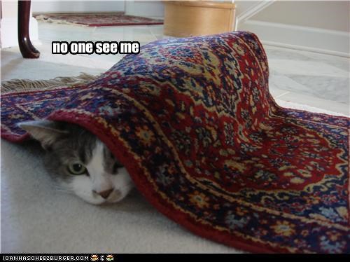 no one see me