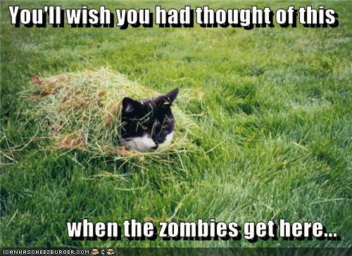 You'll wish you had thought of this   when the zombies get here...
