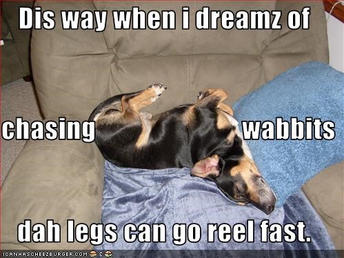 Dis way when i dreamz of chasing                           wabbits dah legs can go reel fast.