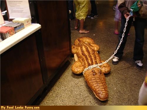 Taking the Croco-loaf For a Walk