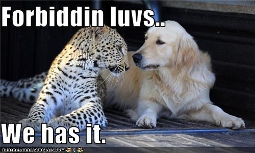 Forbiddin luvs..  We has it.