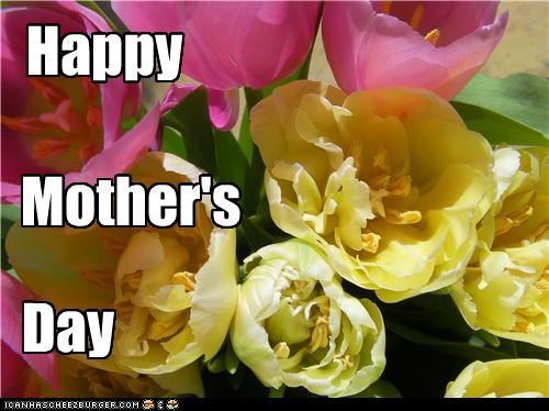 Happy Mother's day to all