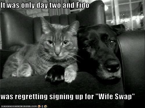 It was only day two and Fido  was regretting signing up for "Wife Swap"