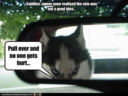 Vets No Good :)