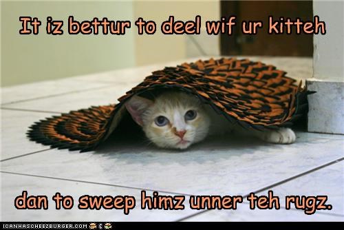 It iz bettur to deel wif ur kitteh
