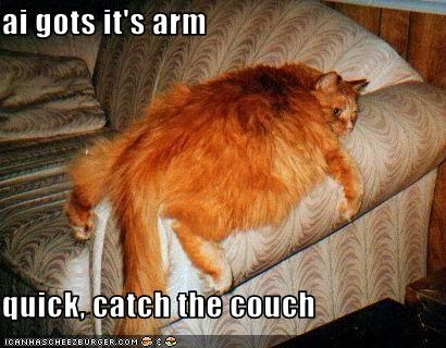 ai gots it's arm  quick, catch the couch