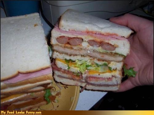I Like to Call This a FOOD SAMMICH. So Much Food in That Sammich!