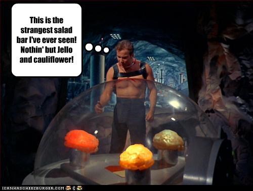 This is the strangest salad bar I've ever seen! Nothin' but Jello and cauliflower!