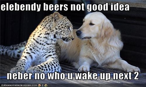 elebendy beers not good idea  neber no who u wake up next 2