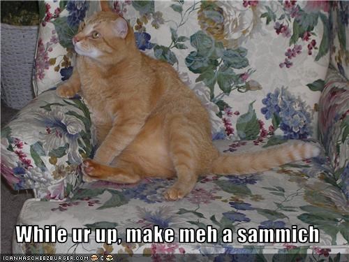 While ur up, make meh a sammich
