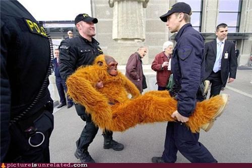 Nice Monkey Suit
