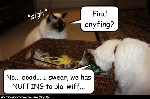 Find anyfing?