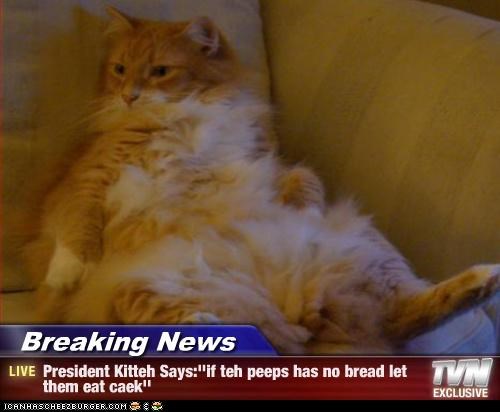 Breaking News - President Kitteh Says:''if teh peeps has no bread let them eat caek''