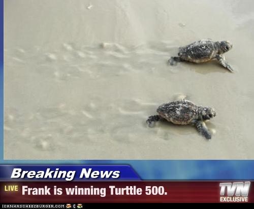Breaking News - Frank is winning Turttle 500.