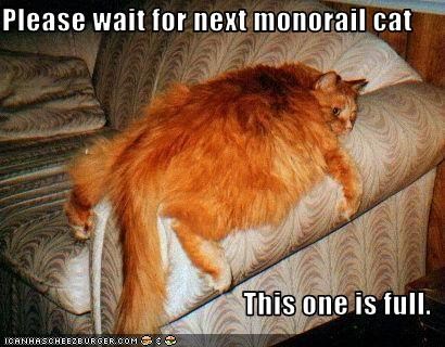 Please wait for next monorail cat  This one is full.