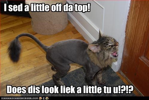 I sed a little off da top!