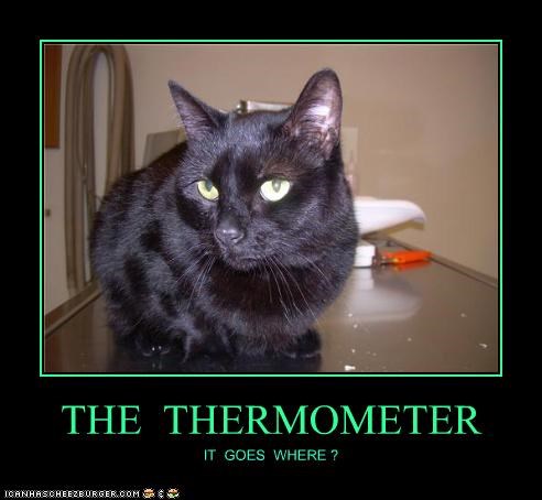 THE  THERMOMETER