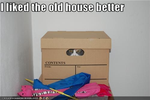 I liked the old house better